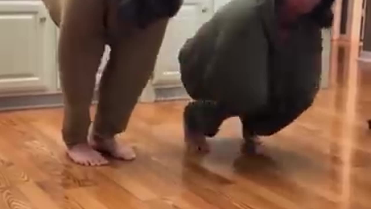 Funny Fails