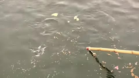 ✨💯 Watch This Quick Trick That Will Save You Time Instantly! | LifeHacksDaily