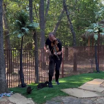 Playing Violin for Otters