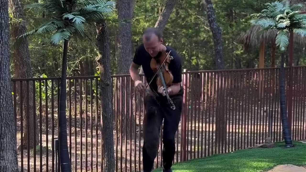 Playing Violin for Otters