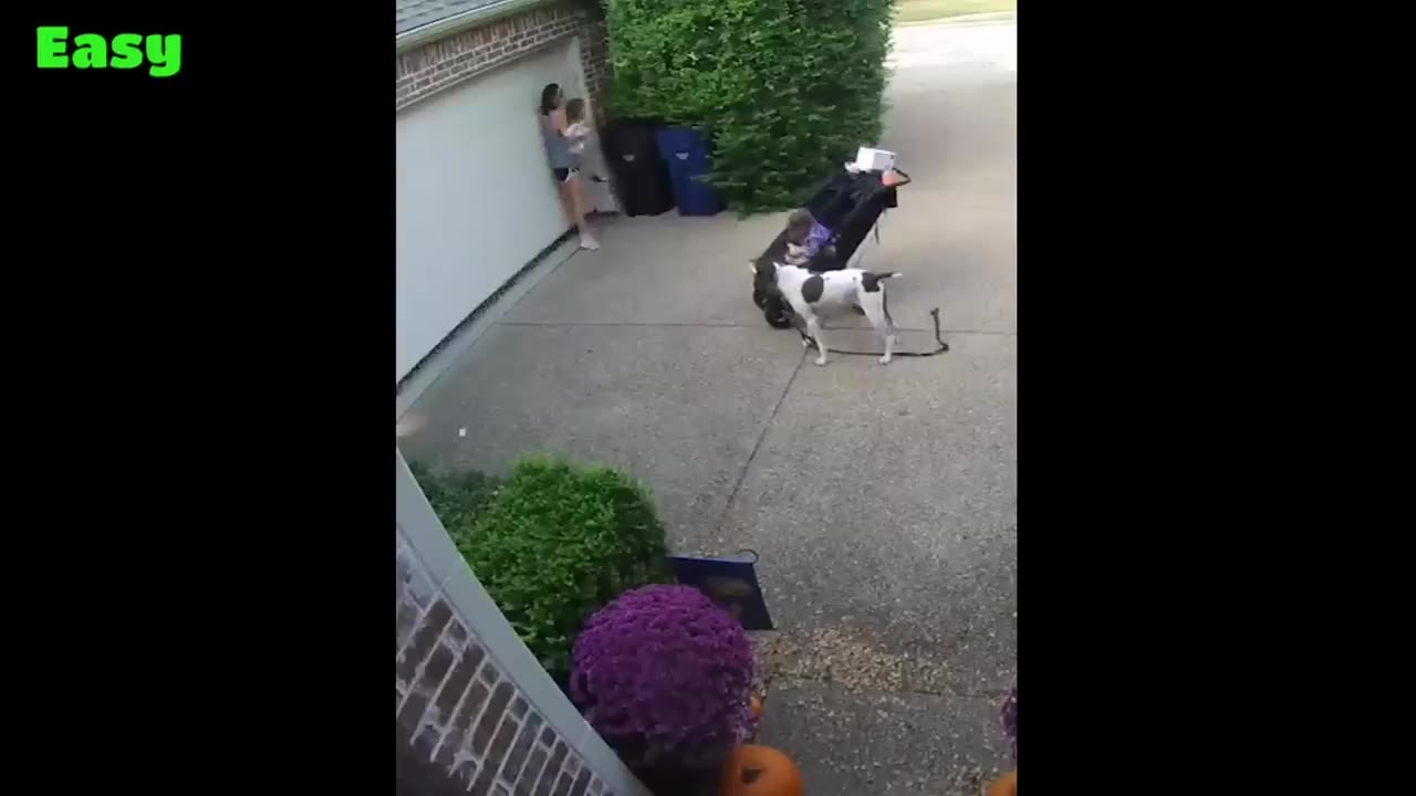 Don't Smile While Watching This Video 🔥 (IMPOSSIBLE!)