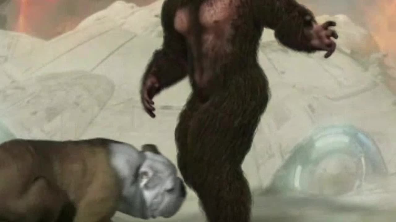 Social Media DeinBester089