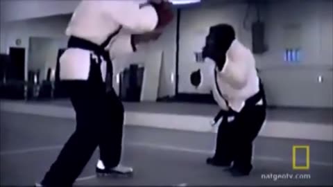 ✨🧠 Watch a Chimpanzee Taught Karate! Unbelievable Intelligence | FeedMyCuriosity
