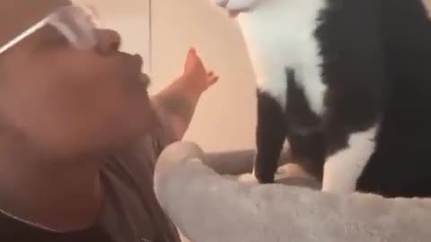 😂🐱 The Saddest Poor Kitty You'll Feel Sorry For! | FunFM