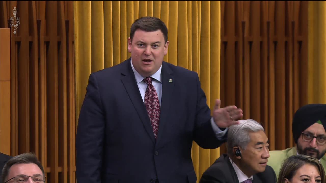 Liberals play games instead of tackling food affordability