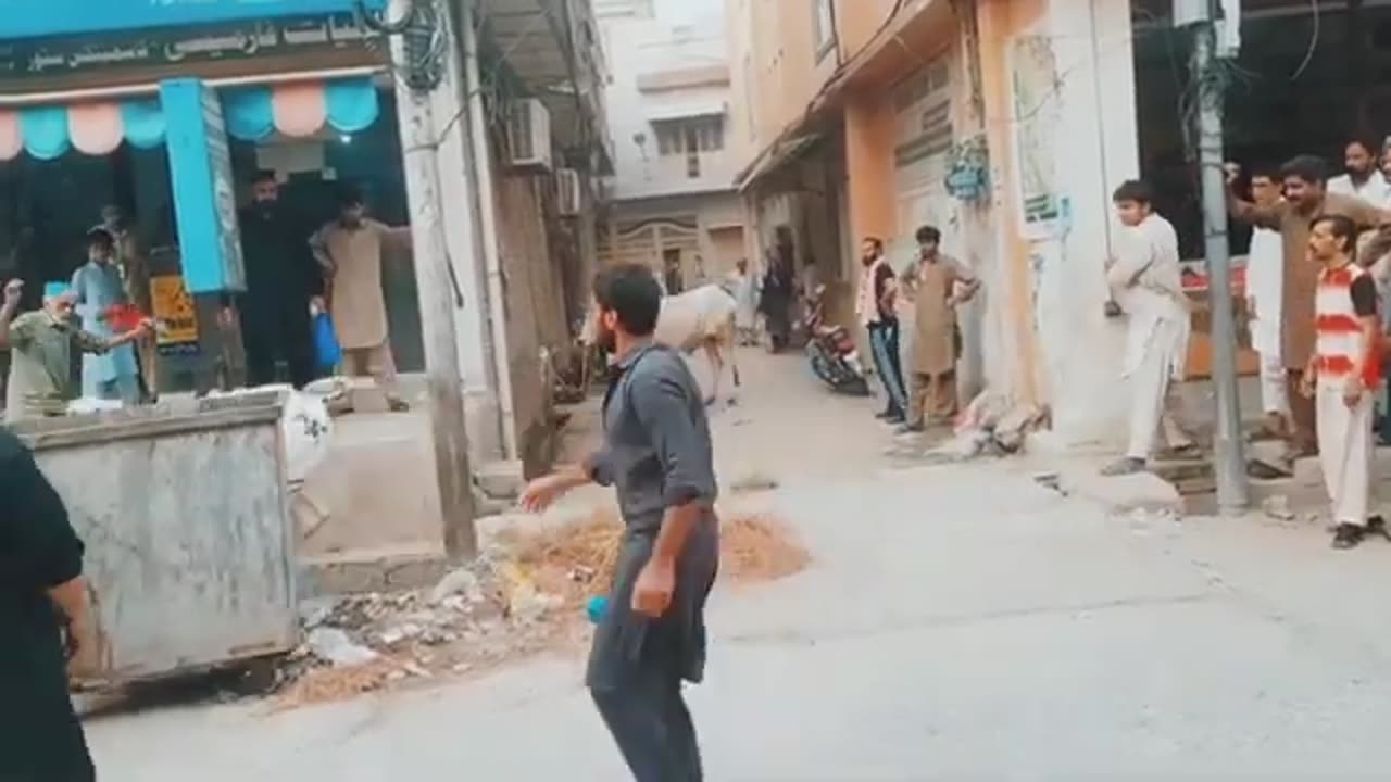 Dangerous Cow | Qurbani