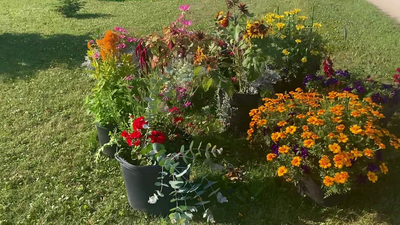 2025 planters