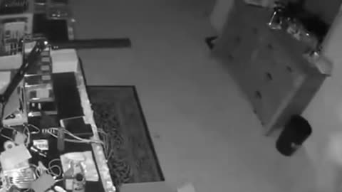 ICE arrested these illegal aliens, members of a South American theft ring who have been