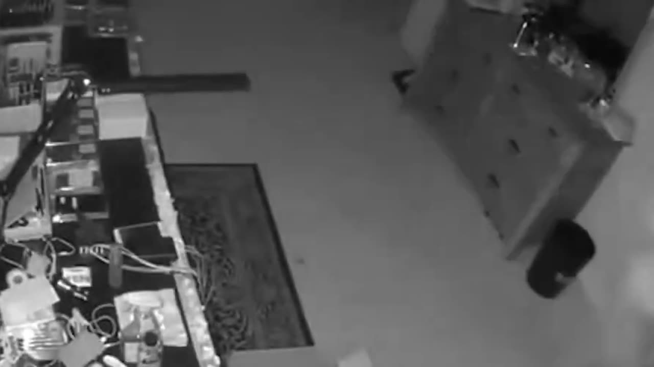 ICE arrested these illegal aliens, members of a South American theft ring who have been