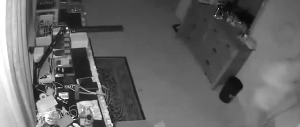 ICE arrested these illegal aliens, members of a South American theft ring who have been