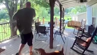 Is this a rare breed of attack squirrel?!