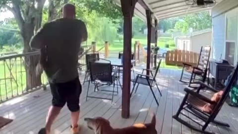 Is this a rare breed of attack squirrel?!