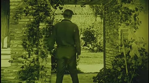 WHEN DAWN CAME (US-1920) COLLEEN MOORE, Lee Shumway. NEW English subtitles.