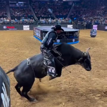 this is the dangerous game ever