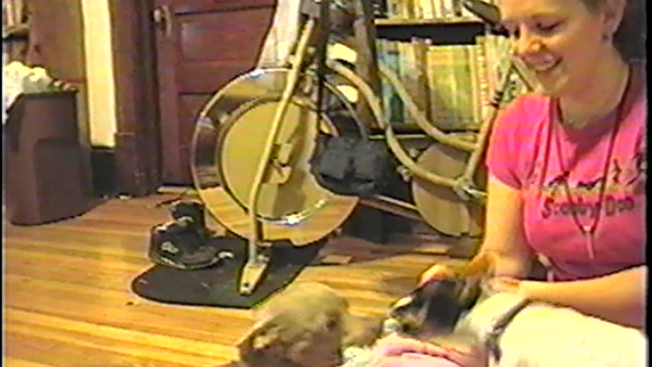 2004-VA-Mocha-2