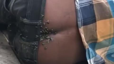 Loro sono il nostro nuovo stile di vita . La nostra felicita 🖕