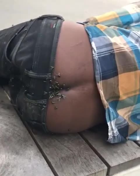 Loro sono il nostro nuovo stile di vita . La nostra felicita 🖕