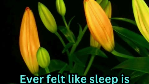 Insomnia Facts #ElderCare 🧓 #SleepTips 😴 #CalmNights 🌙 #RestEasy 🛏️ #GoldenYears 🌟