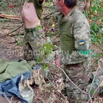 Kneeling non-slaves from the Pokrovsky direction