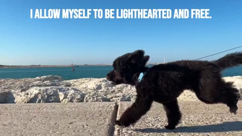 EMBRACE A PLAYFUL MINDSET STAY PLAYFUL | Emotional and Mental Health Benefits | #short