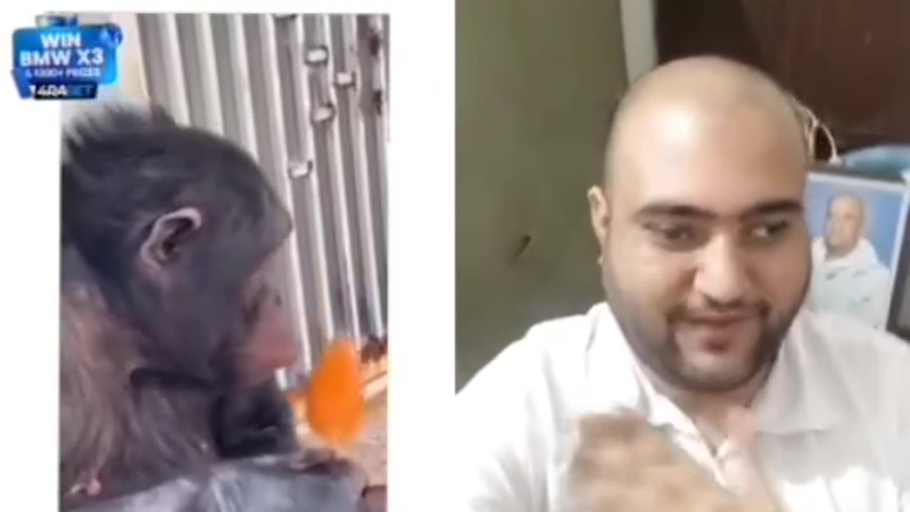 aman