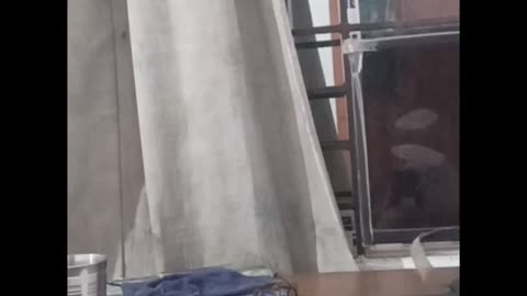 K s