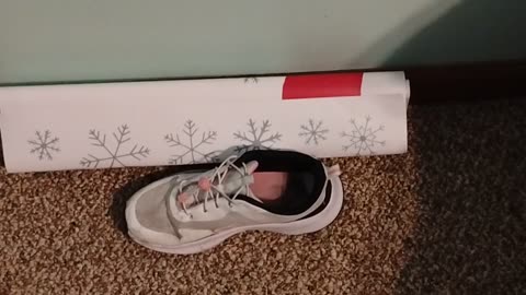 Jesus will judge the wicked and lukewarm and will pour out His judgements