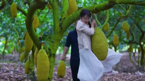. Harvesting Day at Our Tropical Fruit Farm! 🍍🍌