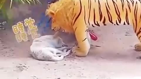 Viral: Lion vs dog prank video viral video funny #shorts #funny #dogprank #dogtr