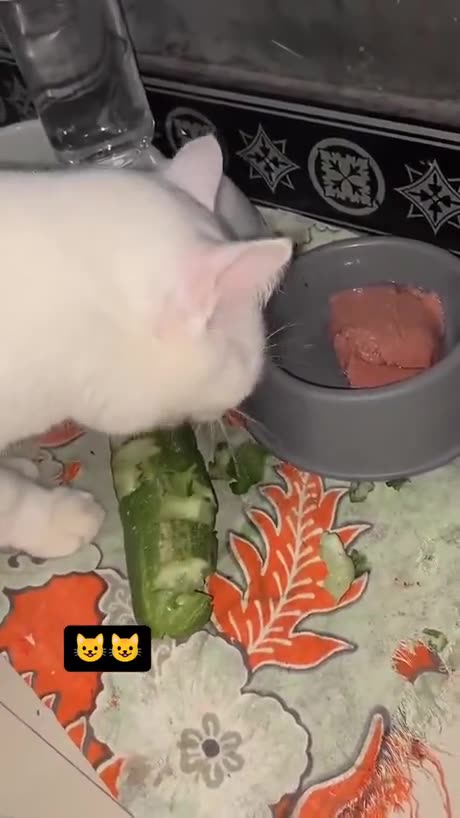 Eat Healthy stay positive😊