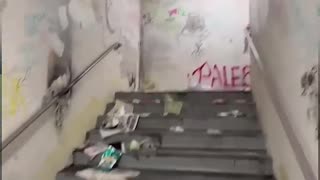 Democrat Run Cities Are DISGUSTING