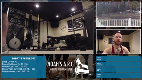 LBL Session w/Remy & Dufus [Week 13] - Shoulders & Gunz // Animal Rescue Stream :)