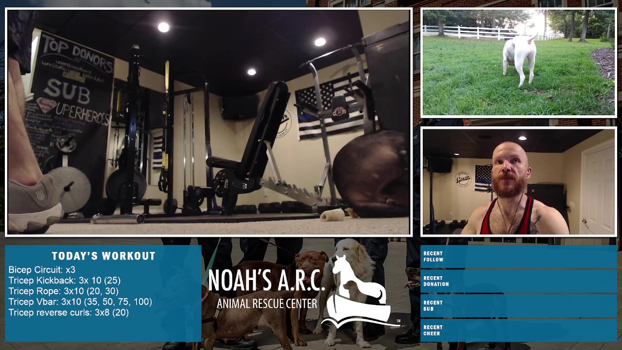 LBL Session w/Remy & Dufus [Week 13] - Shoulders & Gunz // Animal Rescue Stream :)