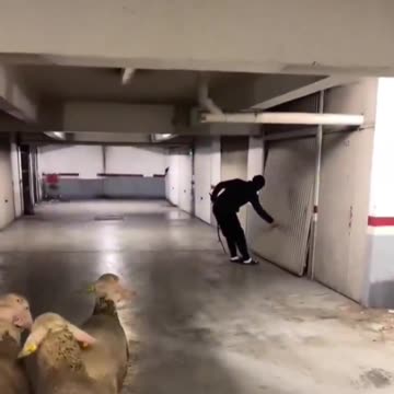 How will this story end in France?