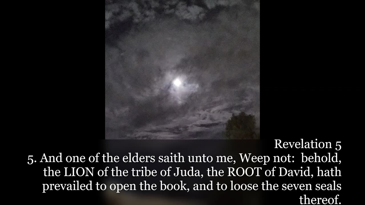 Revelation 5