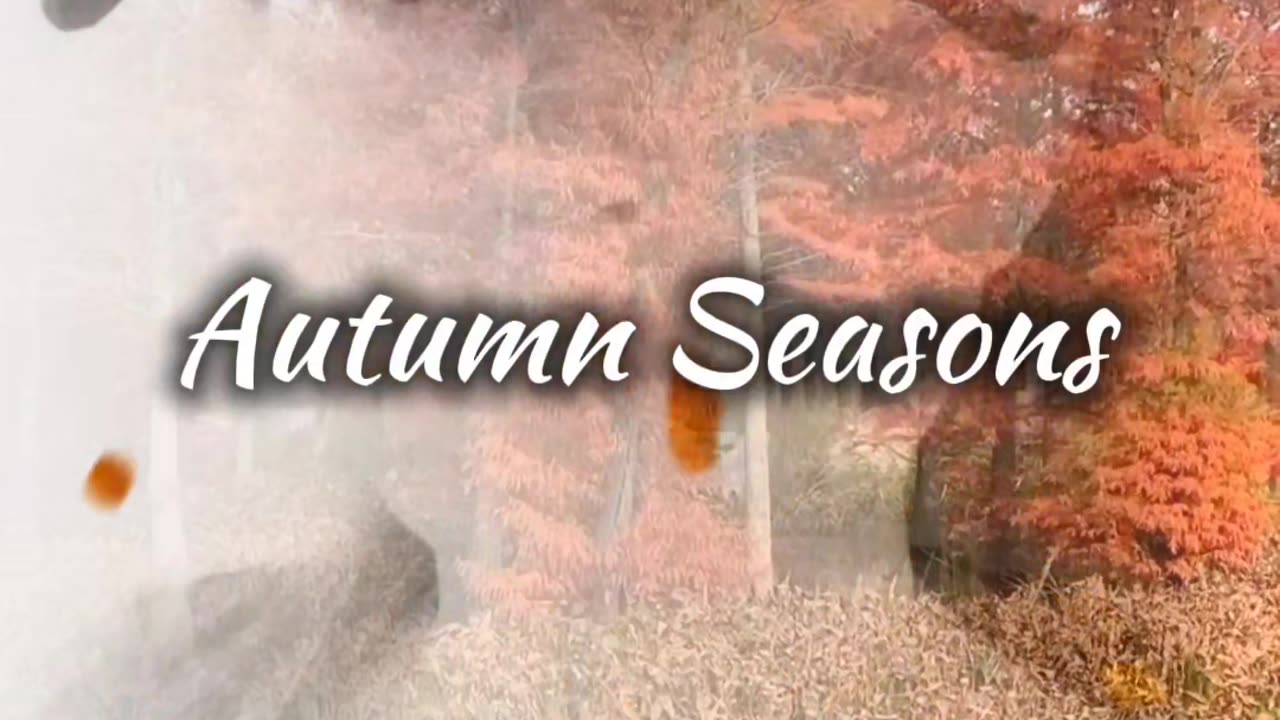 Can't wait for fall 🍁