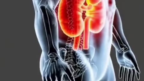 Kidney Stone Relief Solutions | Expert Urology Care in Madurai