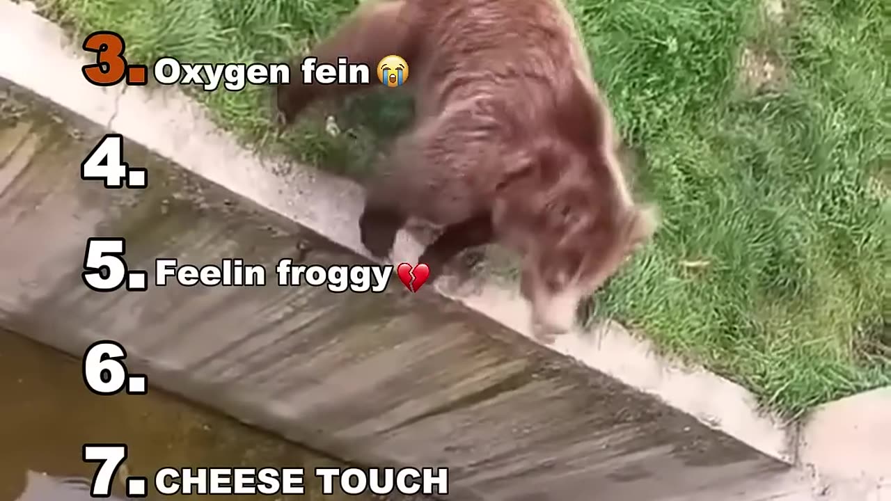 Funniest Medazelli 🤣#ranking