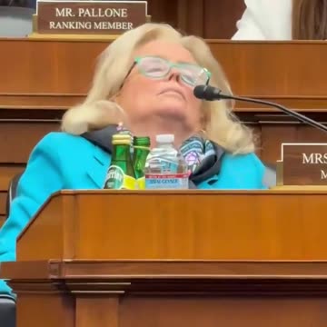 High-Ranking Democrat Falls Asleep During House Hearing
