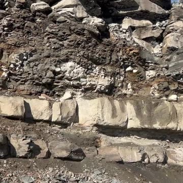 Psalm 13 #God #Jesus #prayingpsalms