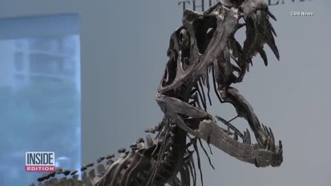 Carnivorous 'Jurassic Park' Dinosaur Could Be Yours! |sunmax966