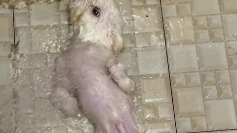 Jack the Cross Eyed Takes a Bath