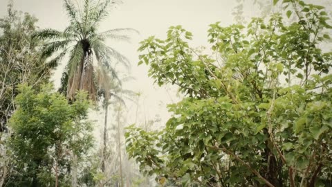 Epic Warrior Women Series 1