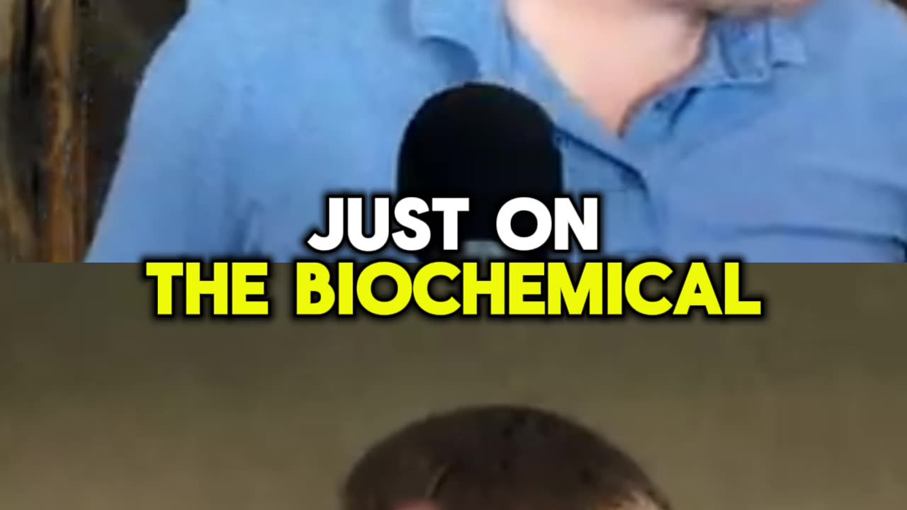 Why Low Amino Acids Affect Mood Thyroid and Energy