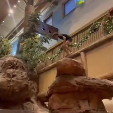 This Trend Is Disrespectful😳 Jumping in The Bass Pro Shop Fish Tank #animals