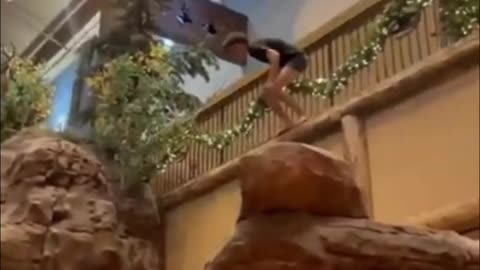This Trend Is Disrespectful😳 Jumping in The Bass Pro Shop Fish Tank #animals
