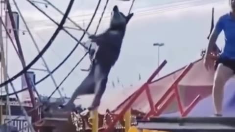🤣😩 So Close Yet So Far! Watch This Epic Fail | FunFM
