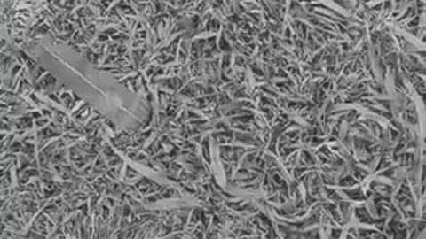 Begging for Everything