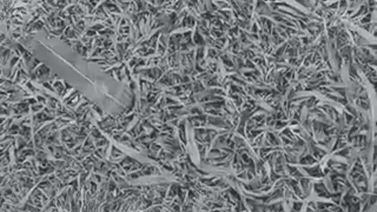 Begging for Everything