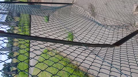 Shameless locals made a malicious entry on FIXMYSTREET.